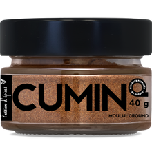 Load image into Gallery viewer, CUMIN GROUND 40 G (1.4 oz)