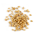 CORIANDER WHOLE YASMINE BAG 80 G (2.8 oz)