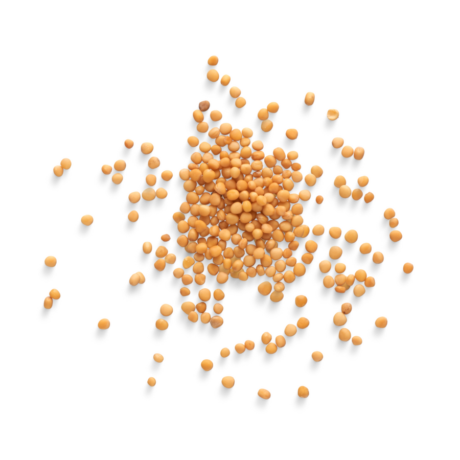 GRAINES DE MOUTARDE JAUNE EN VRAC