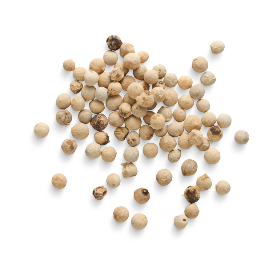 WHITE PEPPER WHOLE BULK